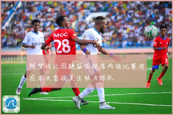 阿努诺比因腿筋伤缺席两场比赛将在东决首战复出助力球队