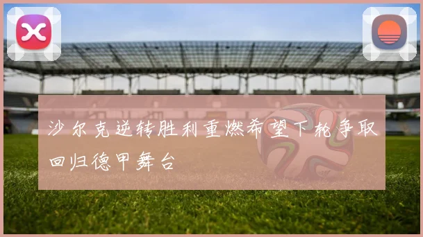 沙尔克逆转胜利重燃希望下轮争取回归德甲舞台
