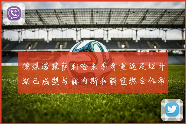 德媒透露萨利哈米季奇重返足坛计划已成型与赫内斯和解重燃合作希望