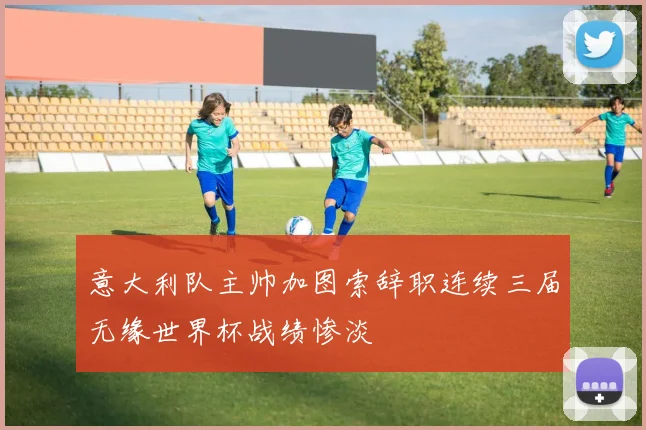 意大利队主帅加图索辞职连续三届无缘世界杯战绩惨淡